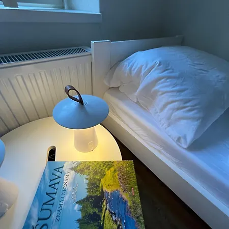 Husova Apartman